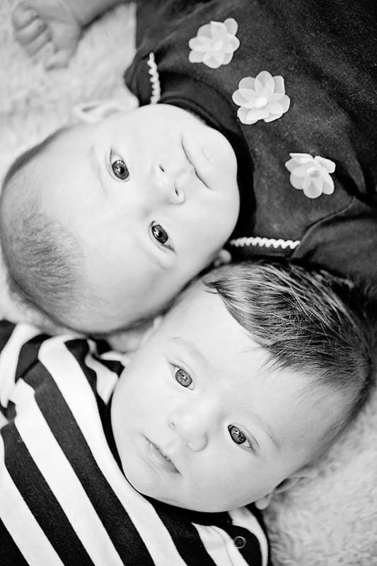 Twins 6 month Photos Sonoma County