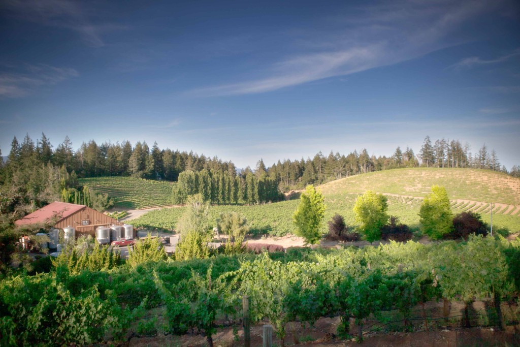 Sonoma County Winery Photographers: Pezzi King Winery, Healdsburg, CA