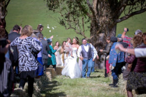 tomales wedding photographer