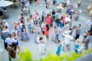 hopland wedding photographer