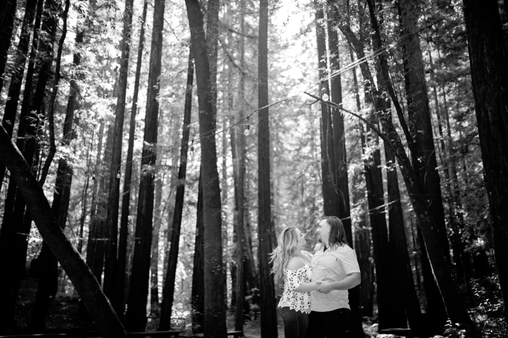 engagement photography Sonoma county