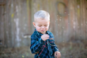Petaluma family photographer