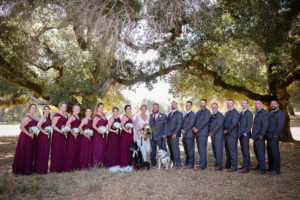 Sebastopol wedding photography