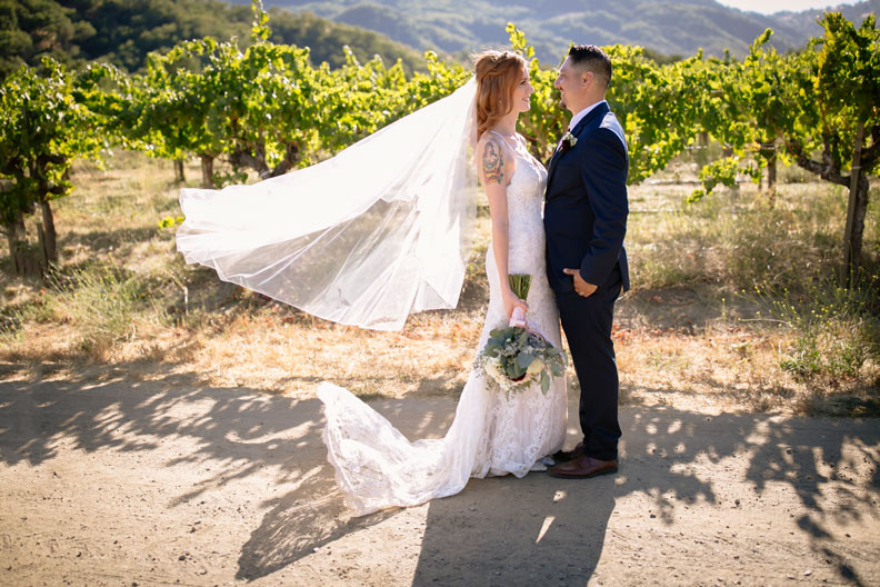 nelson family vineyards wedding